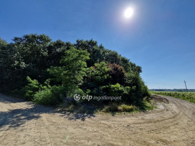 H�dmez�v�s�rhelyi elad� 39788 nm-es telek