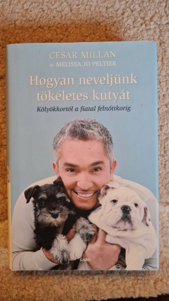 Hogyan neveljünk tökéletes kutyát