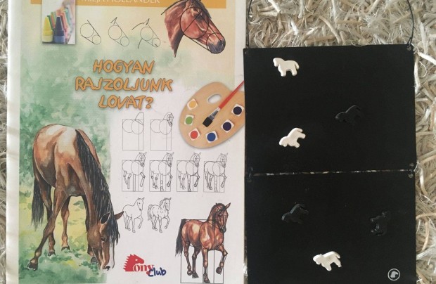 Hogyan rajzoljunk lovat c.fzet s lovas mgnestbla