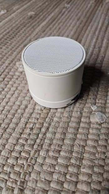 Home & Power Bluetooth hangszr