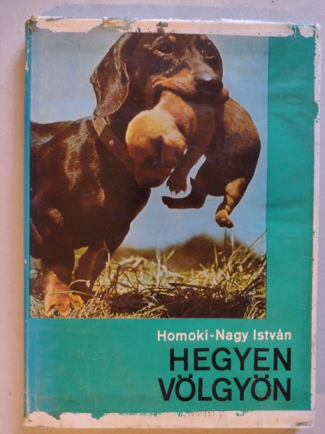 Homoki-Nagy Istvn: Hegyen vlgyn