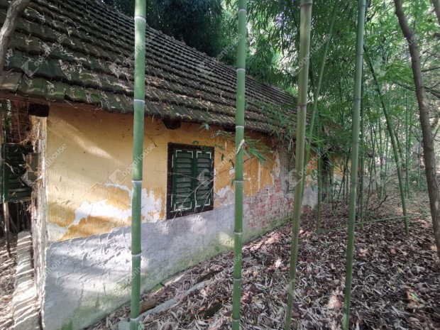 Homokkom�romi 61 nm-es h�z elad�