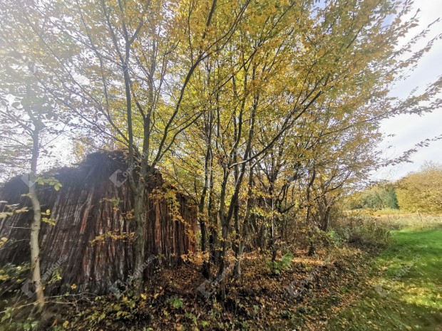 Homokkom�romi elad� 1 nm-es h�z