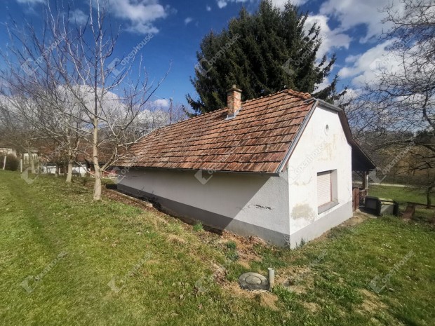 Homokom�romi nyaral�, pince