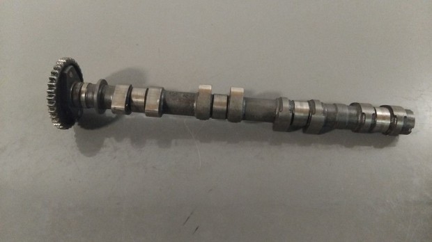 Honda Cb 600 F Hornet (2001) - Vezrm tengely