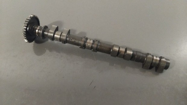 Honda Cb 600 F Hornet (2001) - Vezrm tengely