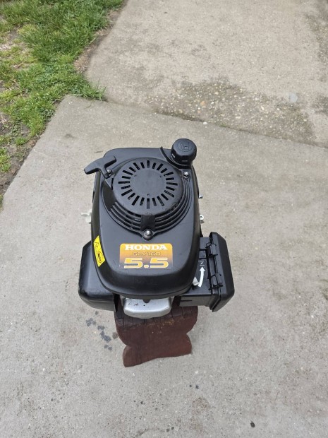 Honda Gcv 160 as fnyr motor 