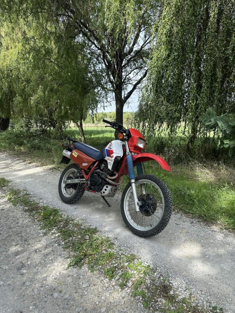 Honda XL600 nindts