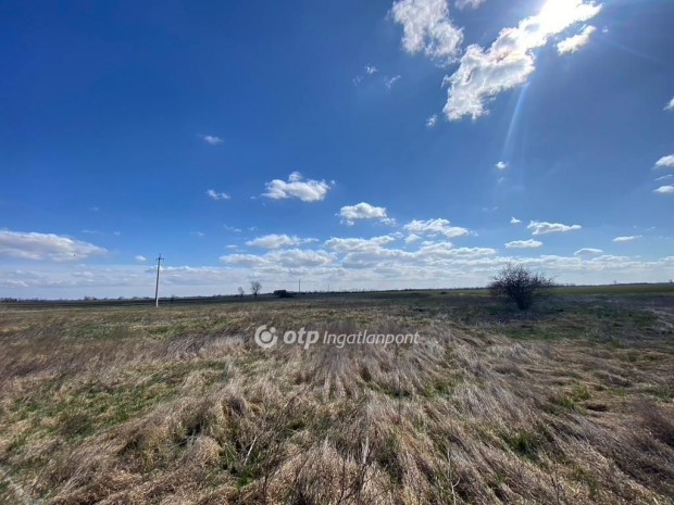 Hortob�gyi 14563 nm-es telek elad�