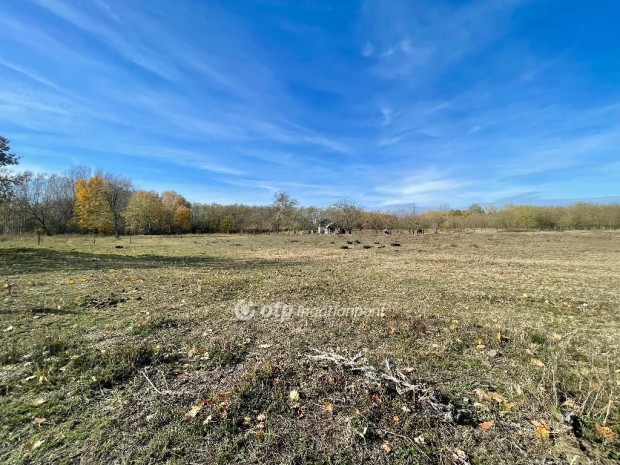 Hossz�p�lyii 1000 nm-es telek elad�