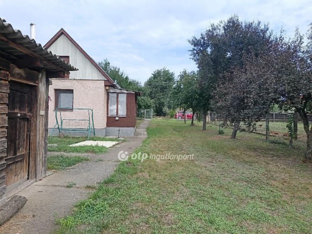 Hossz�p�lyii elad� 21 nm-es h�z