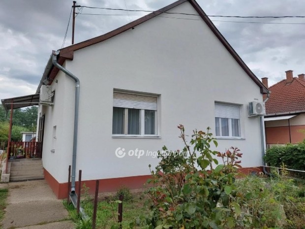 Hossz�p�lyii elad� 65 nm-es h�z