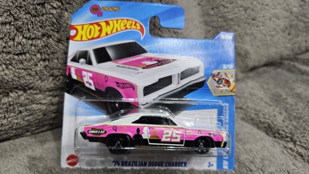 Hot Wheels '74 Brazilian Dodge Charger