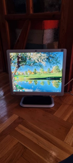 Hp L1710  17" monitor 