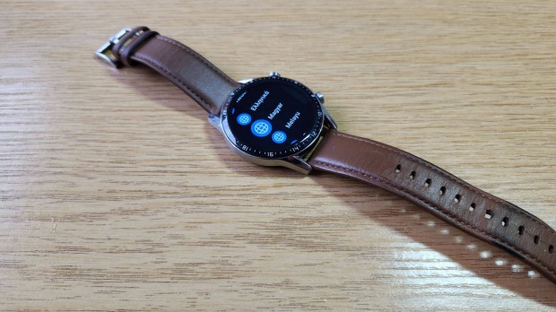 Huawei Watch GT 2 46mm 12H Garancia