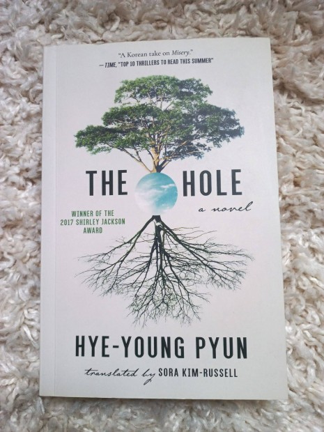 Hye-Young Pyun: The Hole (angol nyelv)