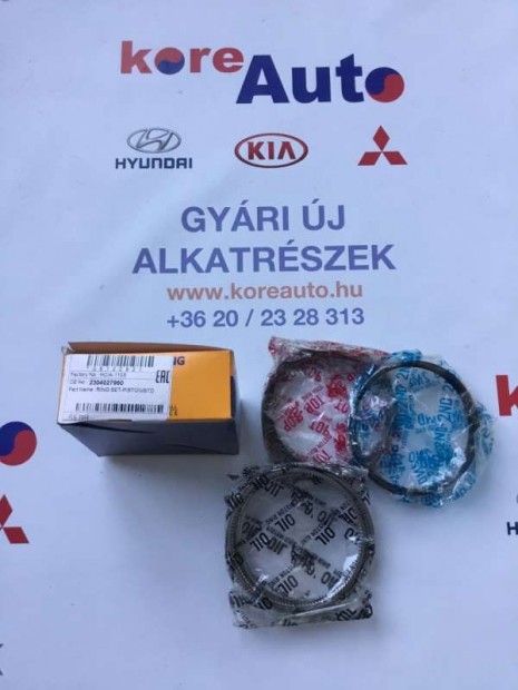 Hyundai Santa Fe CM 2.2 CRDI dugatty�gy�r� garnit�ra 2304027960-UTI