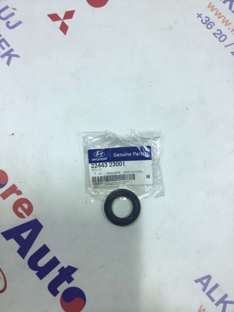 Hyundai Tucson tmts 2244323001
