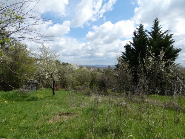 III. Kerület, Árok utca, 1110 m2-es, telek