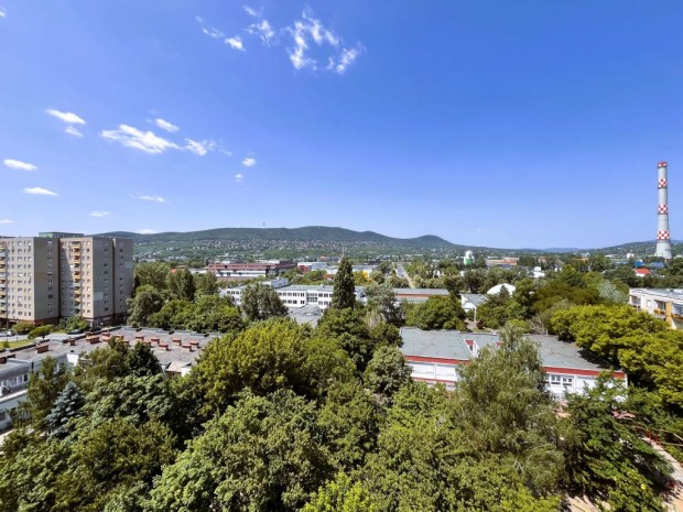 III. Kerület, Búza utca, 50 m2-es, 8. emeleti, társasházi lakás
