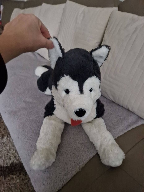 IKEA husky kutya