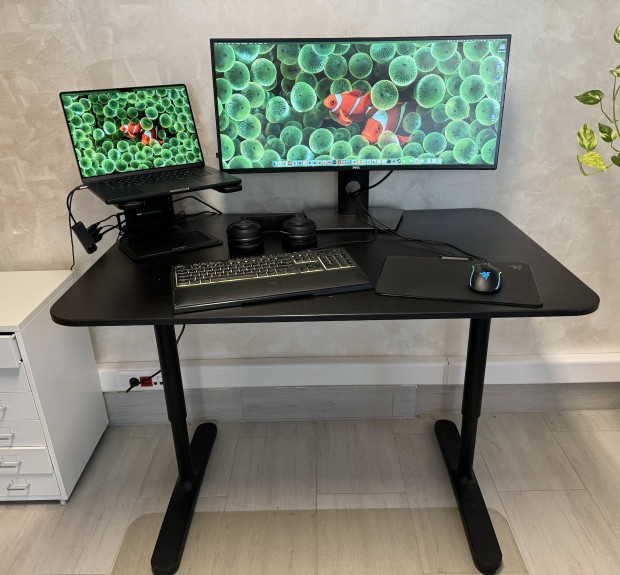 IKEA szamitogep asztal + Razer szett