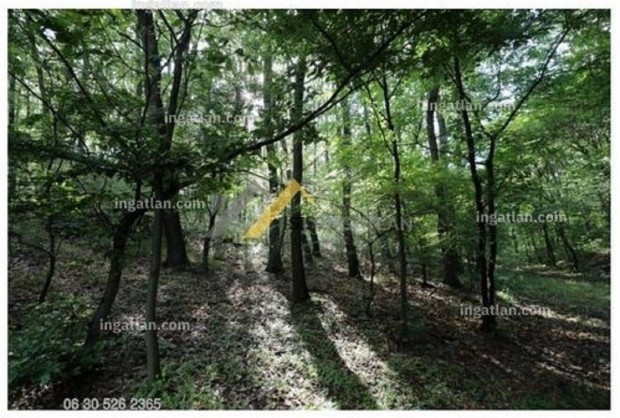 Idilli K�rnyezetben, 1200m2 Belter�leti �p�t�si Telek Elad� C�kon