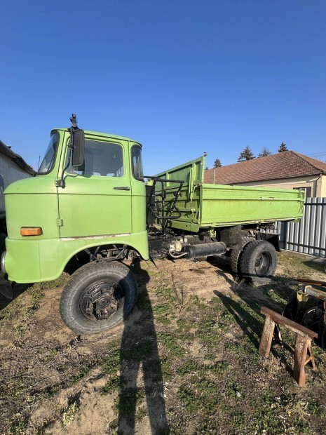 Ifa w50 terepes