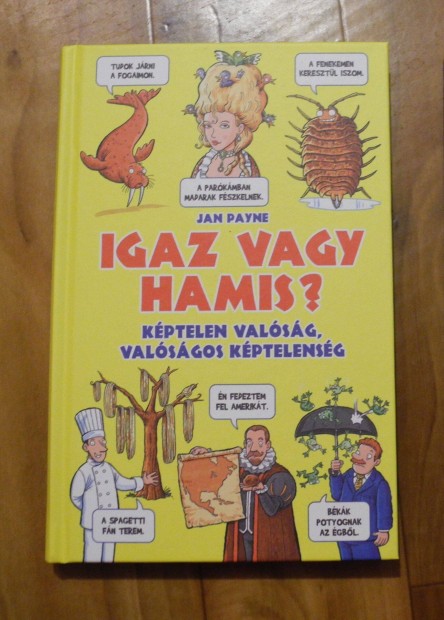 Igaz vagy hamis knyv