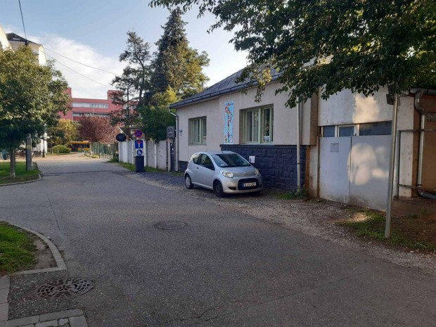 Igazi k�l�nlegess�g a belv�ros sz�v�ben