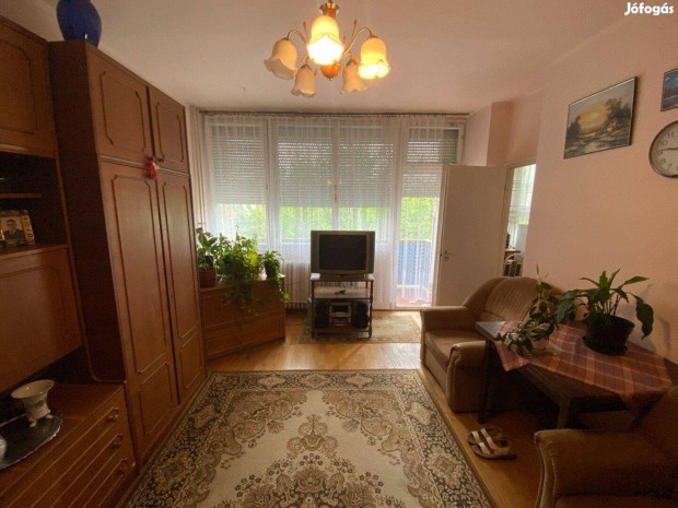 Ig�nyes, 2 szob�s lak�s kiad� a Joskar-Olan Kis�llatbar�t!