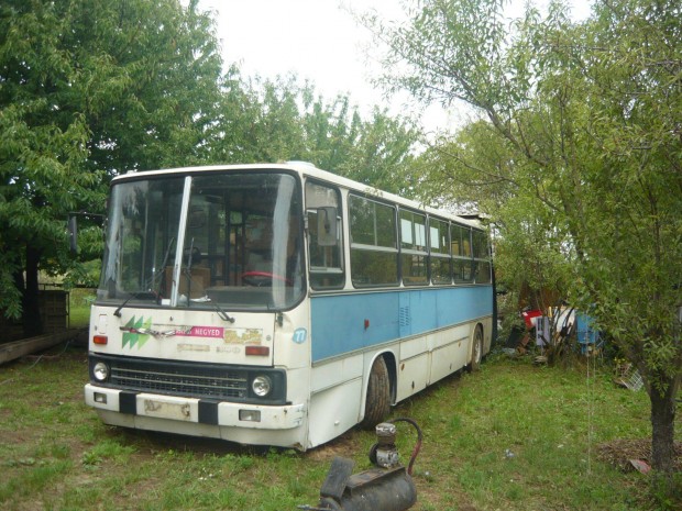 Ikarusz Csukls BUSZ