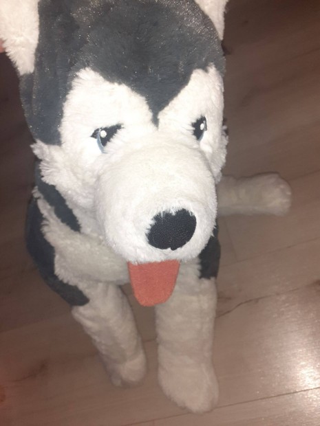 Ikea nagy husky plss