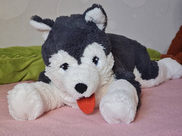 Ikea plss kutya/szibriai husky