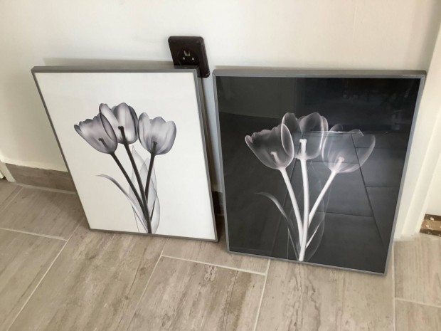 Ikea tulipnos kp (2db)