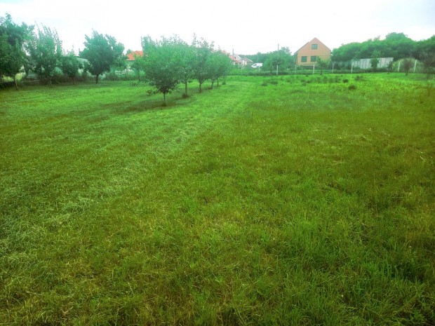 In�rcs, M5-�s aut�p�lya k�zel�ben, 2392 m2-es, telek