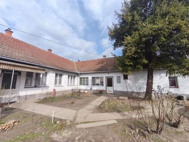 Ingatlan telek �ron, Halas Fels�v�ros r�sz�n!