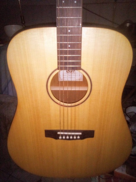 Inspired by Cort Elektro Acoustics gitr 