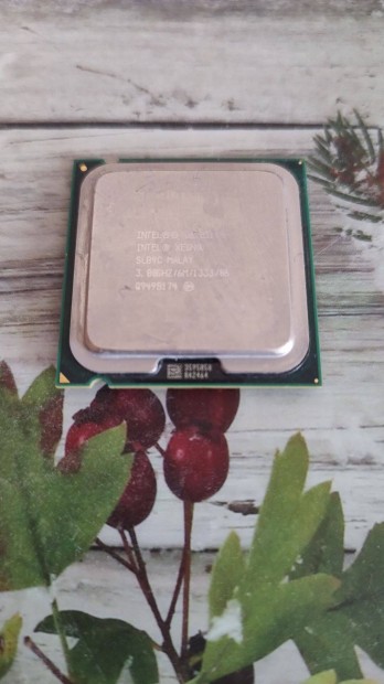 Intel Xeon E3110