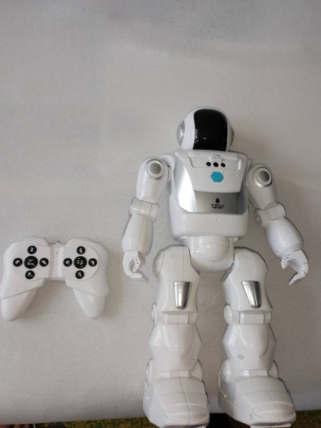 Interaktv robot