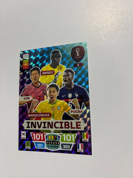 Invincible Qatar focis krtya Panini