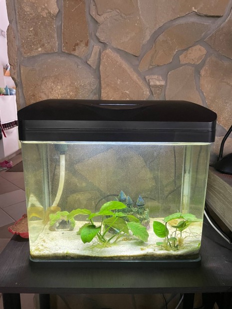 Invital 50l-es akvrium elad