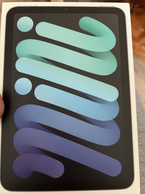 Ipad mini 6 256