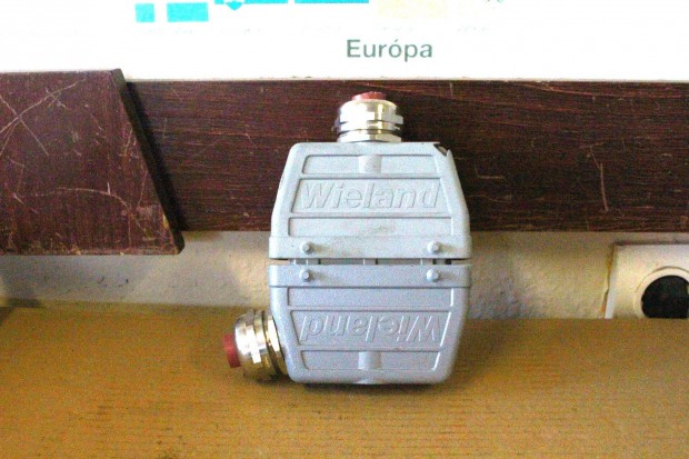 Ipari csatlakozó 24 polusú Wieland ( 6981 )