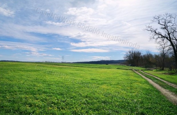 Ipari fejleszt�si ter�leten, telek