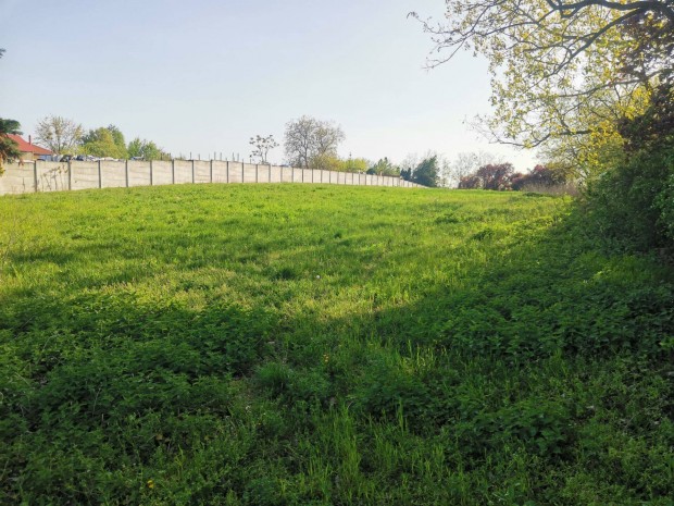 Ipari telek elad� Ny�regyh�z�n!