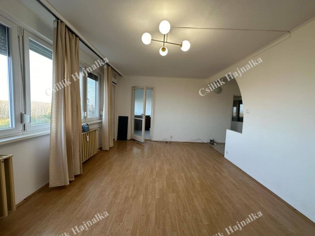 Ispán krt. 49 m2-es, 6.em.-i, Zagyvára néző bútorozatlan lakás