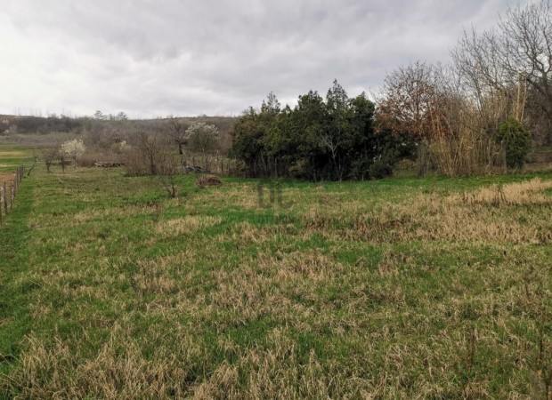 Iszkaszentgy�rgyi elad� 4004 nm-es telek