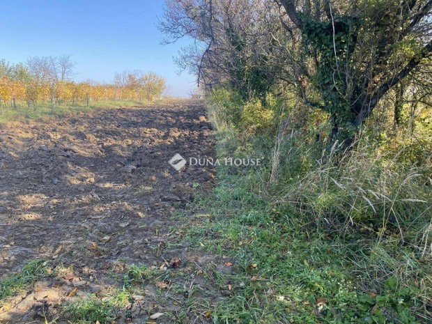 Isztim�ri 1626 nm-es telek elad�