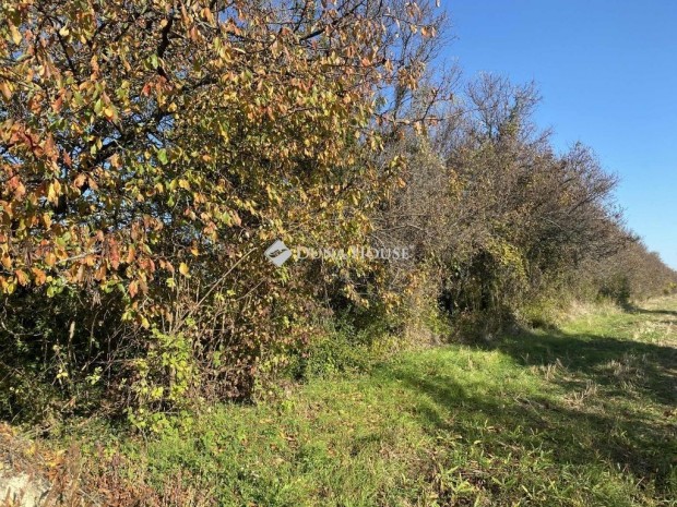 Isztim�ri elad� 1759 nm-es telek